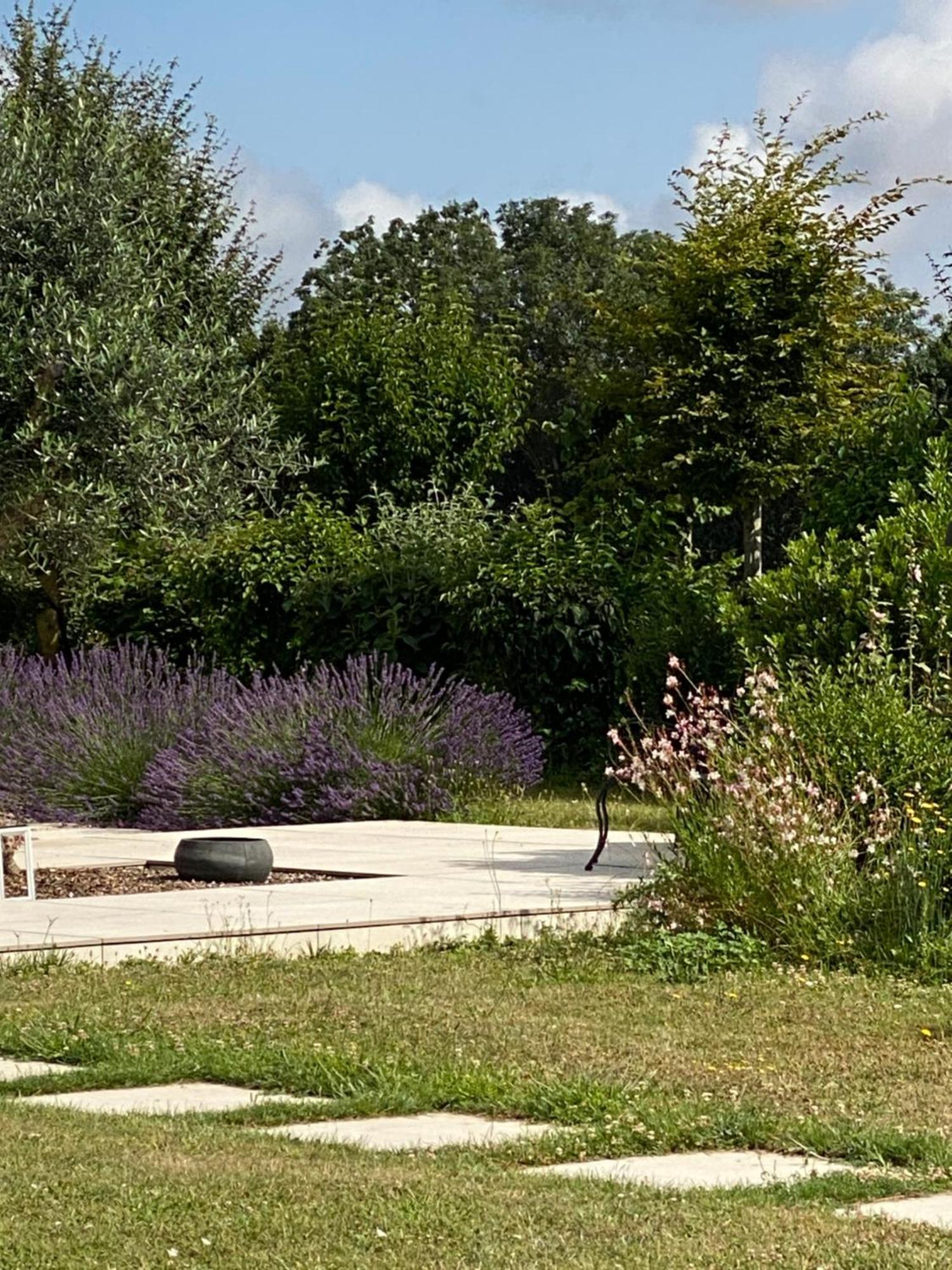 La Chaumeauniere Bed and Breakfast Aigrefeuille-dʼAunis Εξωτερικό φωτογραφία